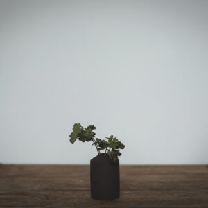 Small textured cylindrical bud vase in a dark earth colour. Shown with Aquilegia stem.