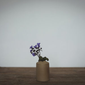 Small, sand coloured bud vase with a textured finish, Shown with a purple aquilegia flower
