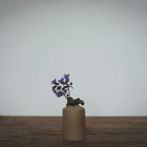 Small, sand coloured bud vase with a textured finish, Shown with a purple aquilegia flower