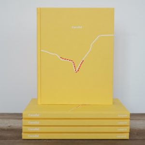 yellow book with red and white trail markings on front cover. Standing on group of four similar books